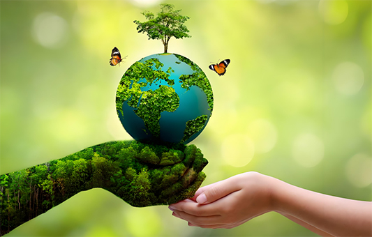 平衡創(chuàng)科技 回歸大自然 —工業(yè)化條件下走向生態(tài)平衡的技術(shù)路線探索實踐