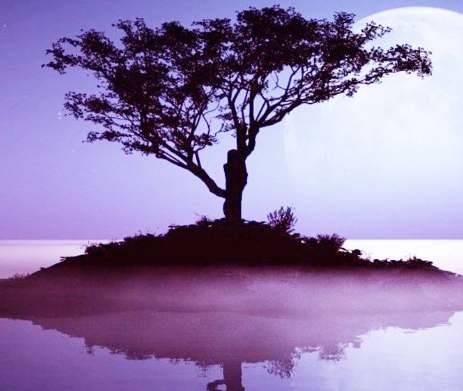 1598228665331387.jpg 111.jpg